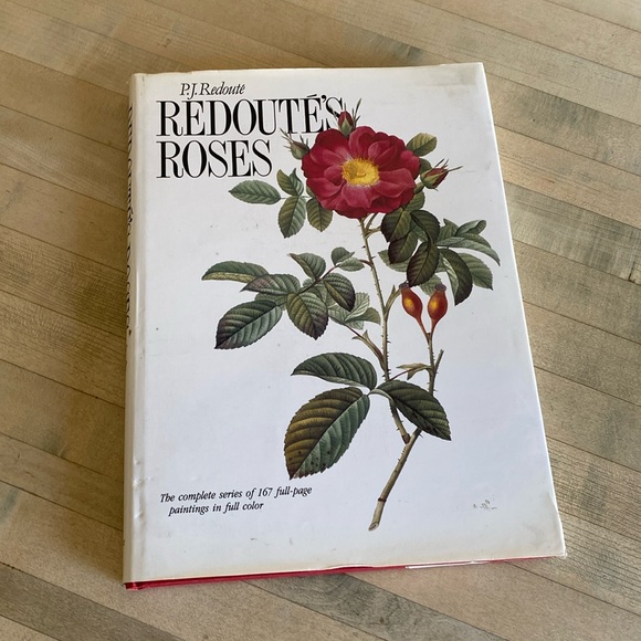 Redouté's Roses by P.J. Redouté - Picture 2 of 14